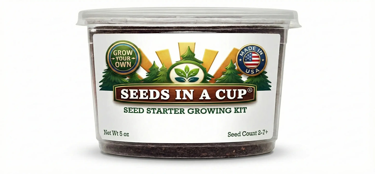 Mature Collard Greens (Brassica oleracea var. viridis) plant grown from Seeds In A Cup starter kit, demonstrating the nutrient-dense real soil growing system and high germination success rate.