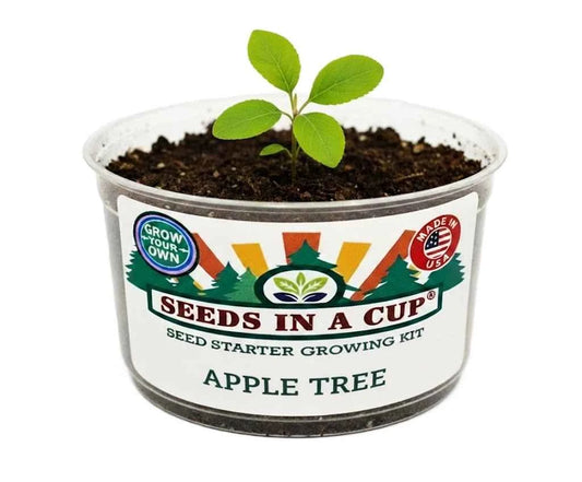 Seeds In A Cup Apple Tree (Malus domestica) Grow Kit - Complete seed starter with recyclable planter, non-GMO seeds, and real potting soil. Hand-assembled in Cleveland, Ohio, USA.
