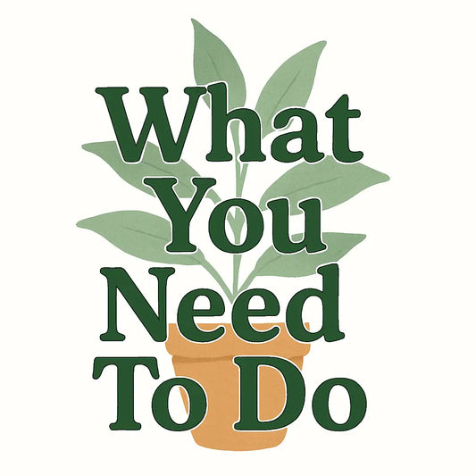 Leggy Plants Solutions: What You Need To Do When Your Plant Looks Leggy
