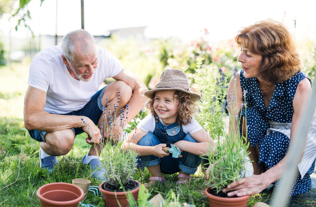 Teaching Children to Garden: Benefits and Fun with Plant Grow Kits. - Seeds In A Cup®