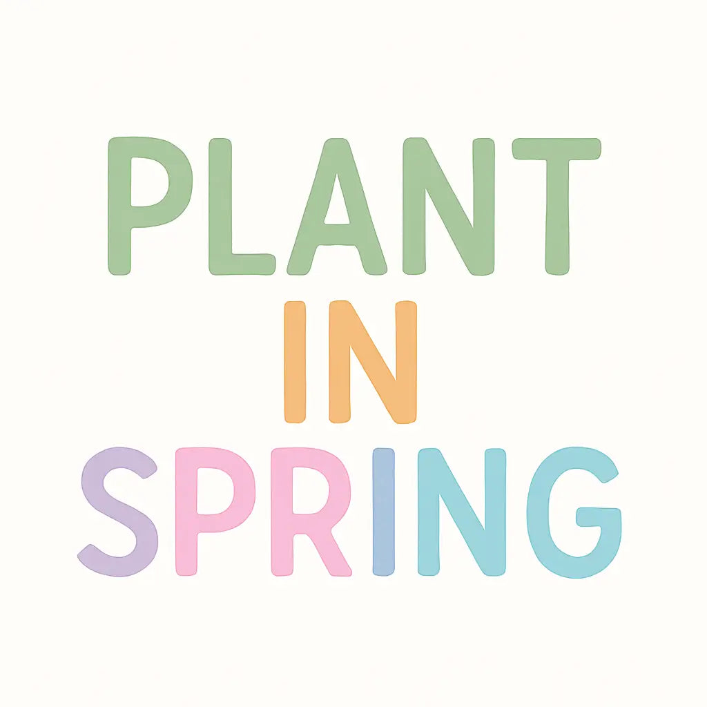 Classroom seed-starting kits by Seeds In A Cup® — STEM plant growing projects for teachers, students, and schools.