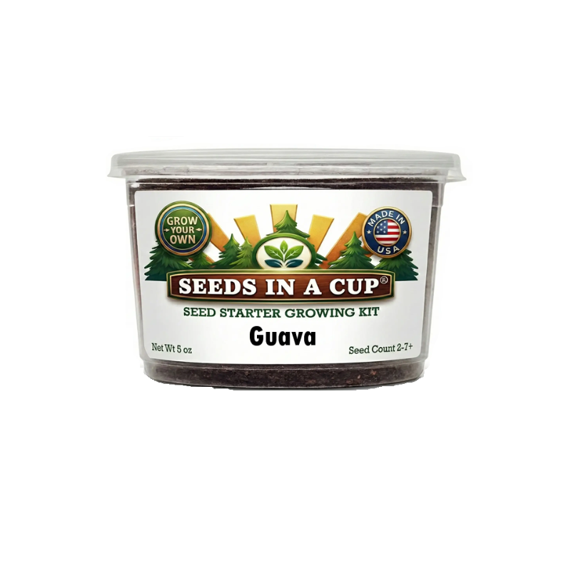 Seeds In A Cup® Guava Tree (Psidium guajava) grow kit — complete tropical fruit tree seed starter with non-GMO seeds, real loose potting soil, and recyclable planter. Hand-assembled in Cleveland, Ohio, USA.