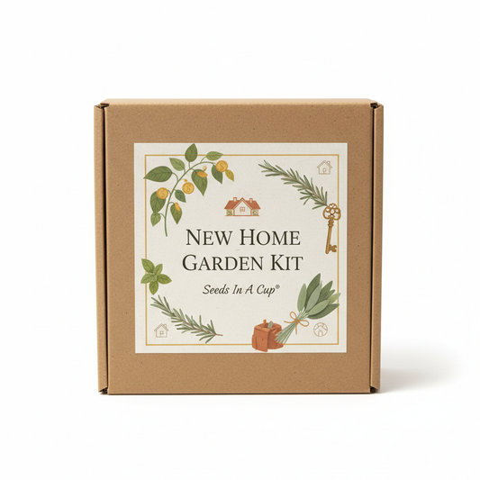 New Home Box