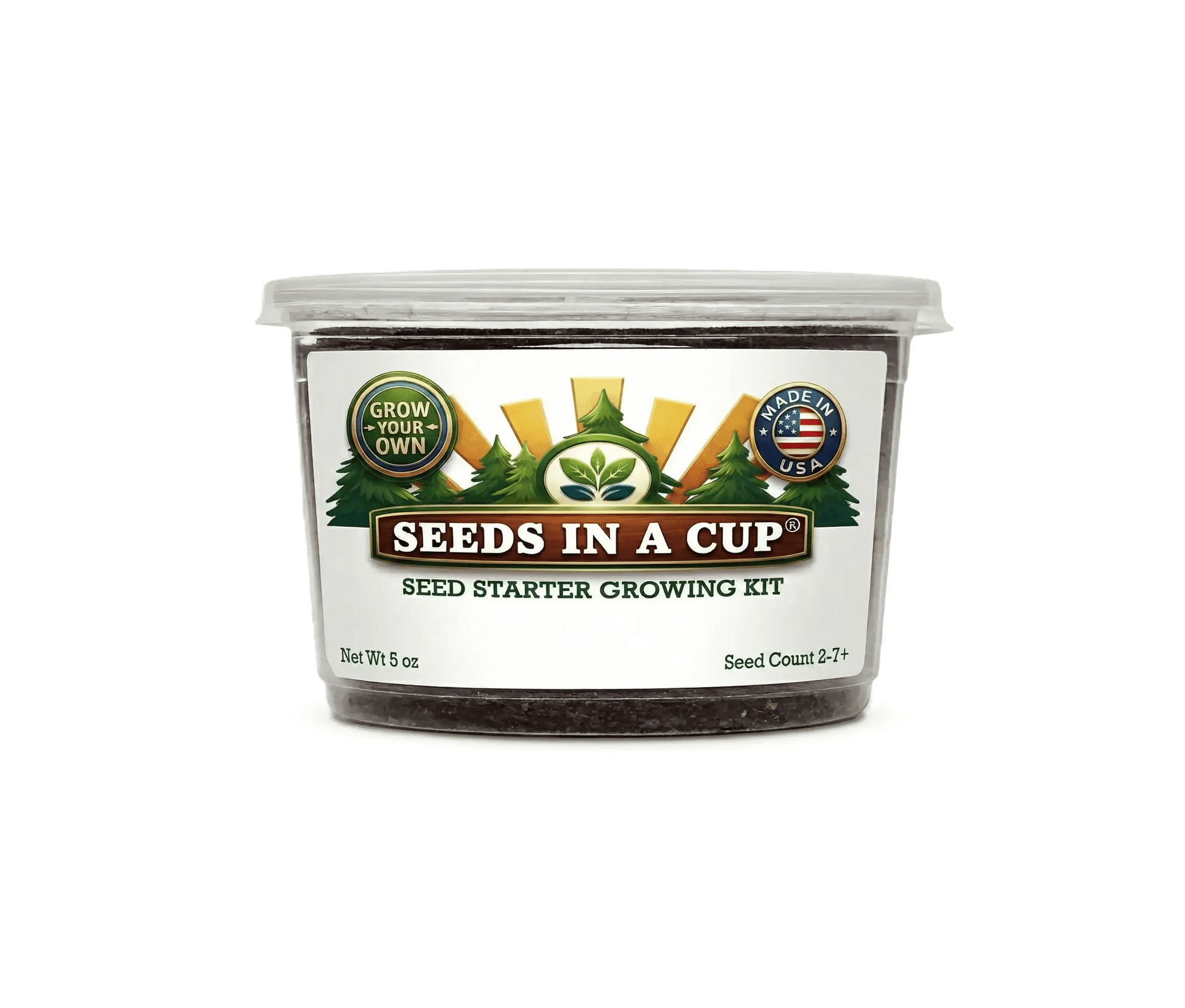 Healthy Lettuce (Lactuca sativa) seedling growing in a Seeds In A Cup recyclable planter. Demonstrates successful germination using real potting soil and non-GMO seeds.
