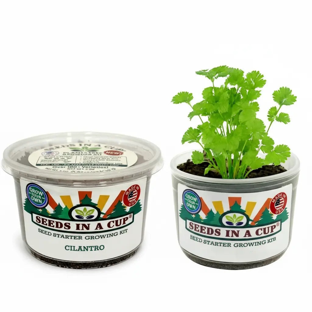 Seeds In A Cup Papaya grow kit with all included contents: non-GMO seeds, real loose potting soil, recyclable planter, and step-by-step growing instructions. Made in Cleveland, Ohio.
