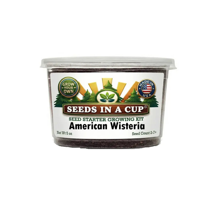 Seeds In A Cup American Wisteria (Wisteria frutescens) Grow Kit - Complete seed starter with recyclable planter, non-GMO seeds, and real potting soil. Hand-assembled in Cleveland, Ohio, USA.