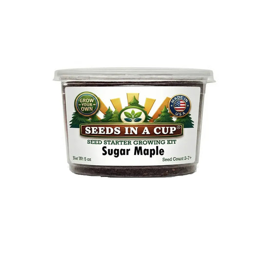 Seeds In A Cup Sugar Maple Tree (Acer saccharum) Grow Kit - Complete seed starter with recyclable planter, non-GMO seeds, and real potting soil. Hand-assembled in Cleveland, Ohio, USA.